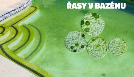 Řasy v bazénu - Rady a tipy